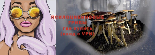 Альфа ПВП Балабаново